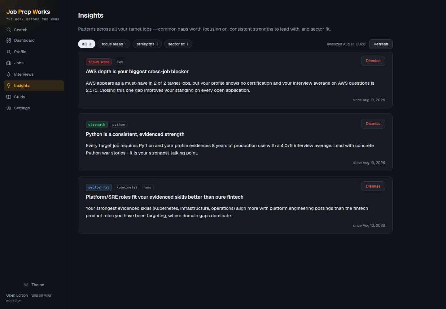 The Insights page showing cross-job focus areas and evidenced strengths.